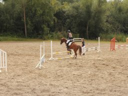 img_9631_web